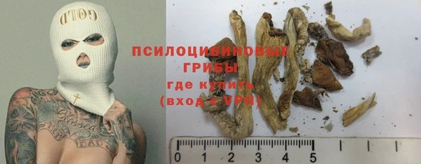 индика Богданович