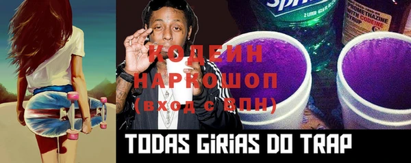 сатива Богородицк