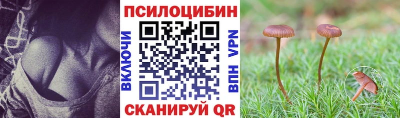 Галлюциногенные грибы Psilocybine cubensis  Трёхгорный 